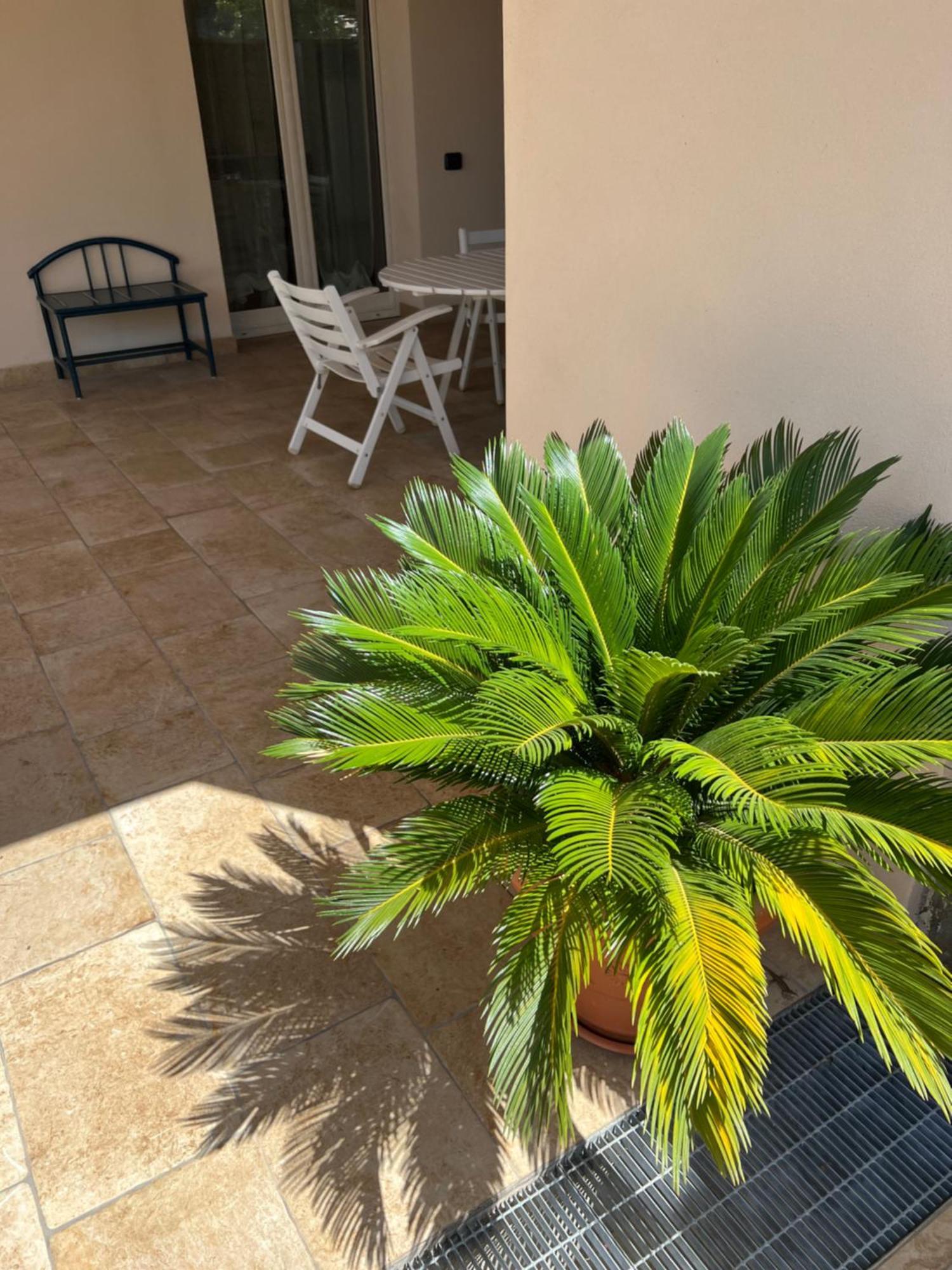 Villa Valentina Cefalù Eksteriør bilde